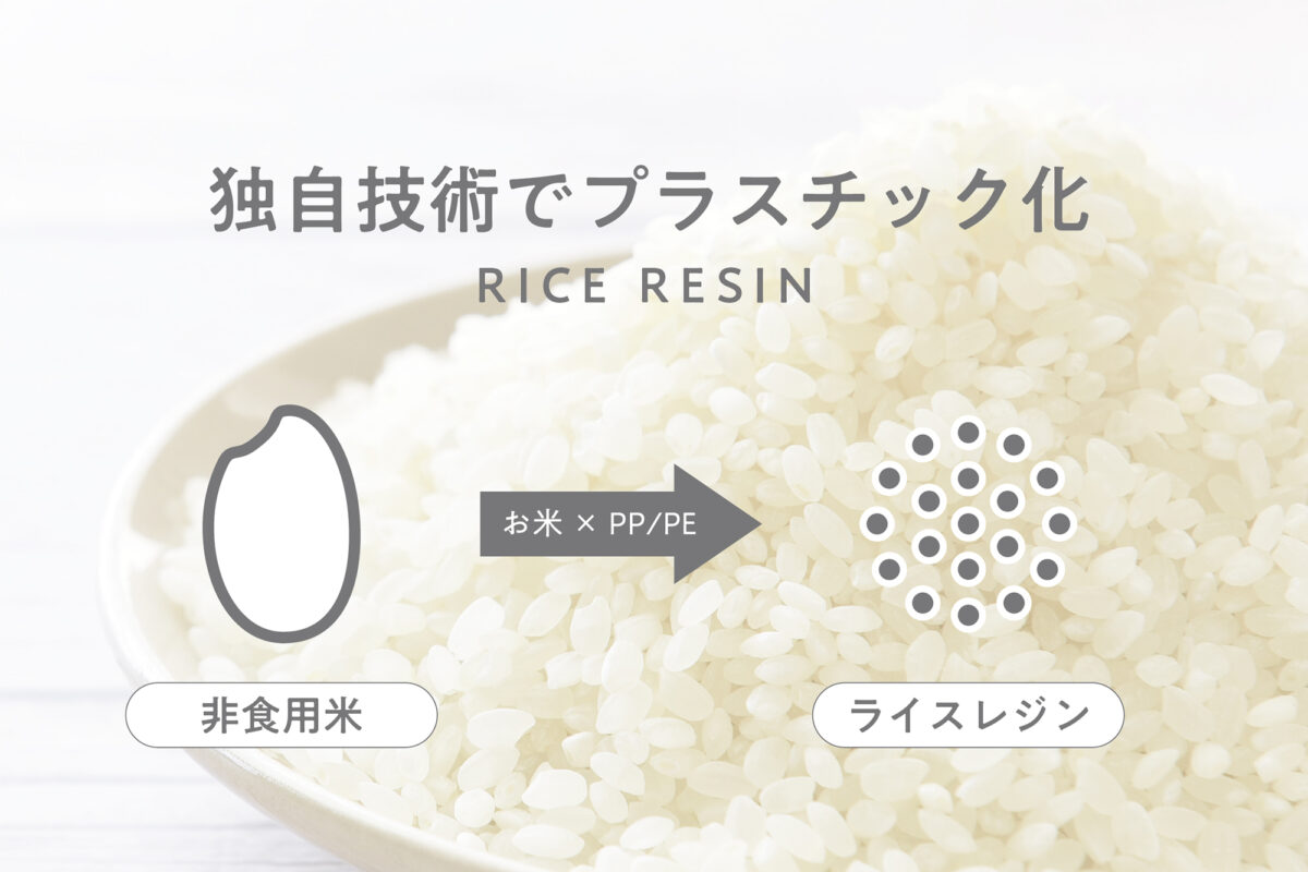 お米を使ったスポーク – ストリックスデザイン